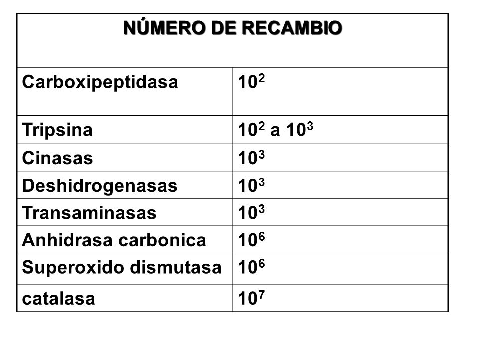 NÚMERO DE RECAMBIO Carboxipeptidasa Tripsina. 102 a 103. Cinasas Deshidrogenasas.