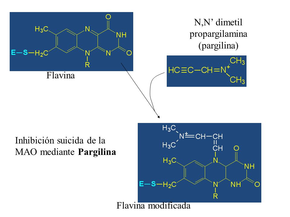 N,N’ dimetil propargilamina. (pargilina) Flavina. Inhibición suicida de la. MAO mediante Pargilina.