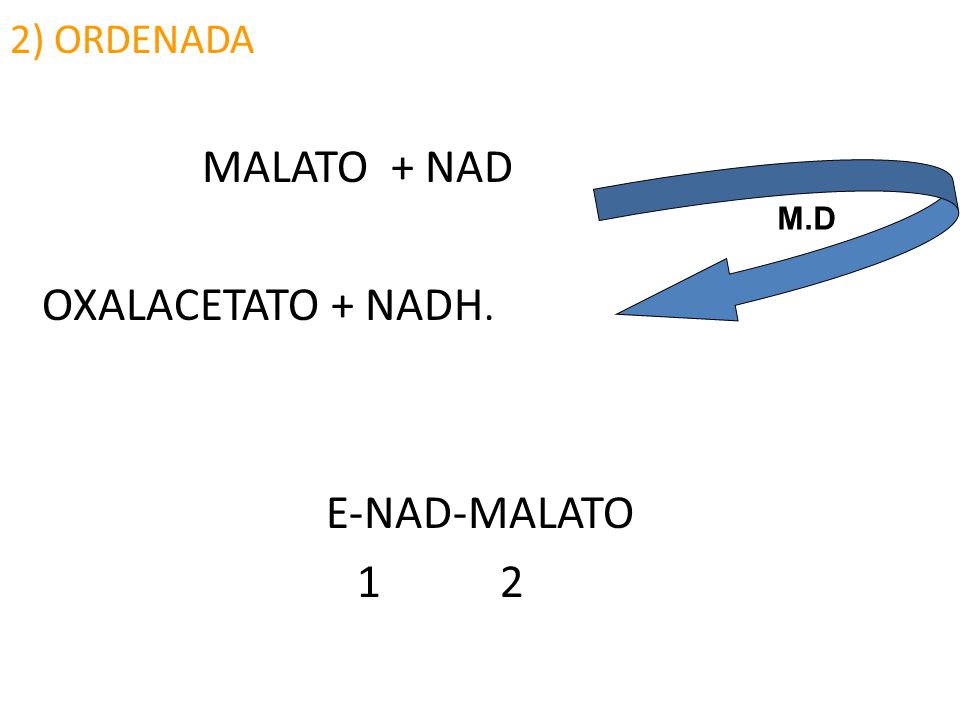 2) ORDENADA MALATO + NAD OXALACETATO + NADH. E-NAD-MALATO 1 2 M.D