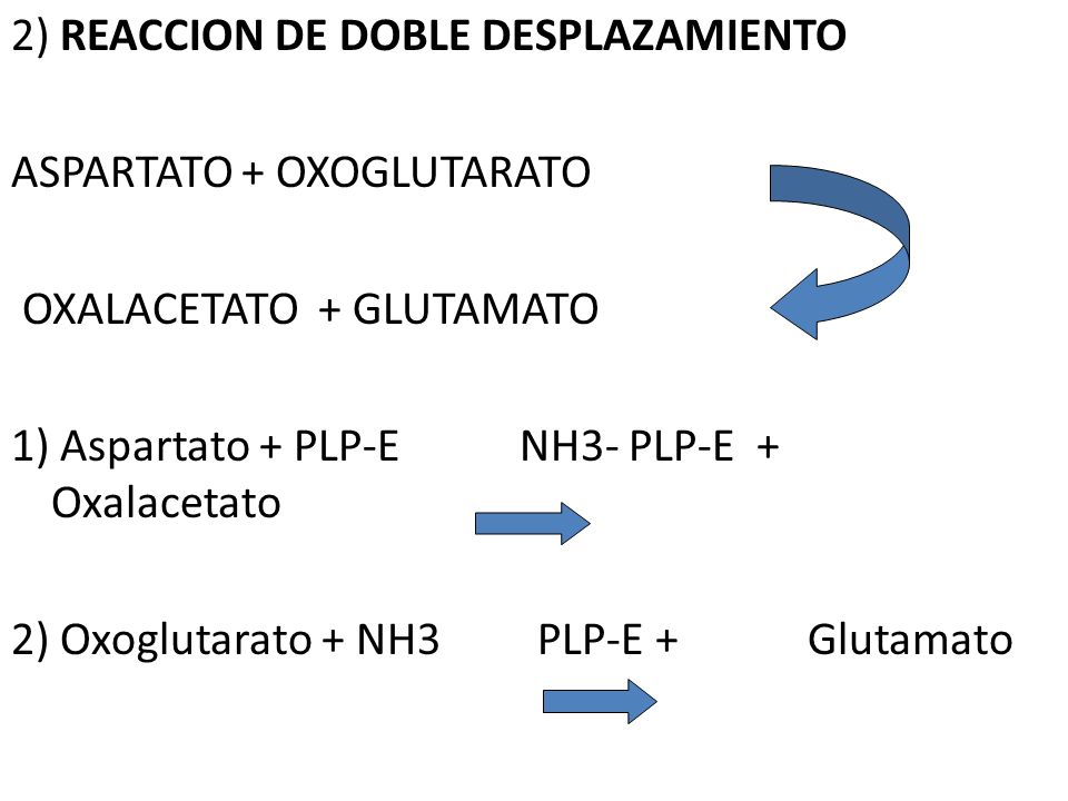 2) REACCION DE DOBLE DESPLAZAMIENTO ASPARTATO + OXOGLUTARATO OXALACETATO + GLUTAMATO 1) Aspartato + PLP-E NH3- PLP-E + Oxalacetato 2) Oxoglutarato + NH3 PLP-E + Glutamato