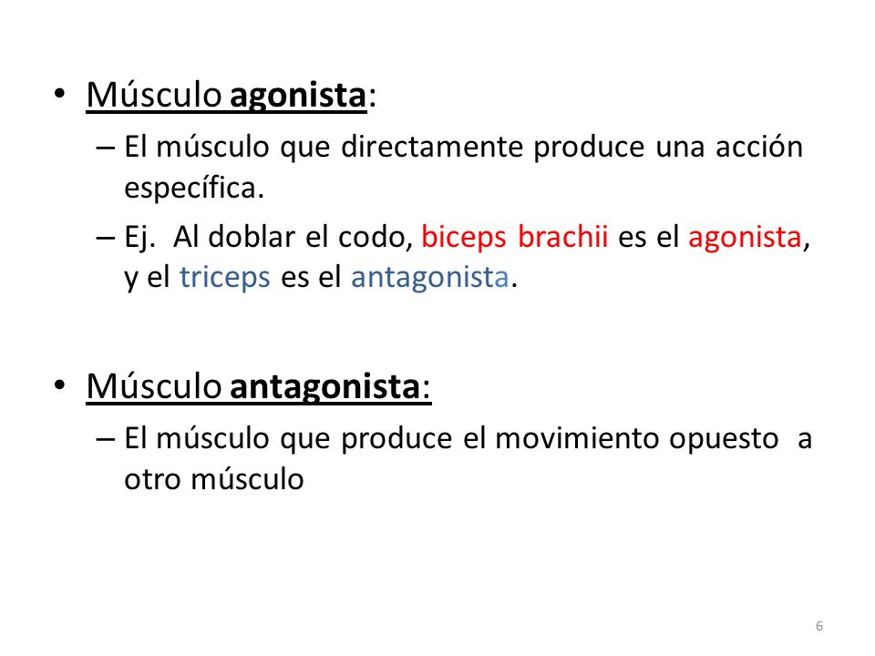 Músculo agonista: Músculo antagonista: