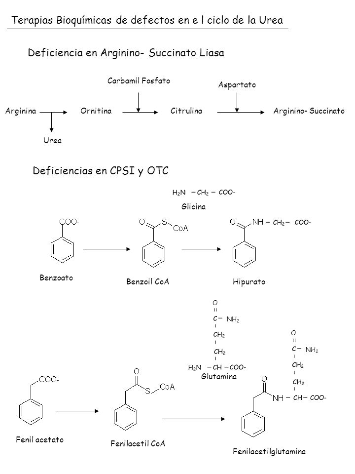 Terapias Bioquímicas de defectos en e l ciclo de la Urea