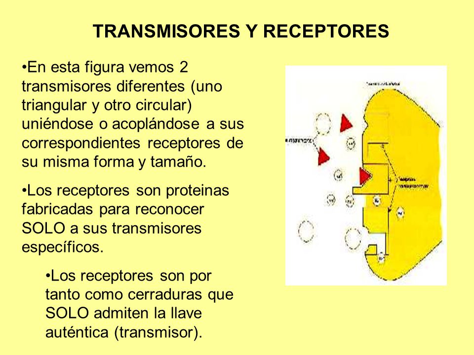 TRANSMISORES Y RECEPTORES