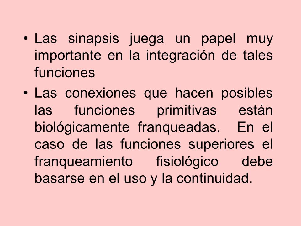 Las sinapsis juega un papel muy importante en la integración de tales funciones