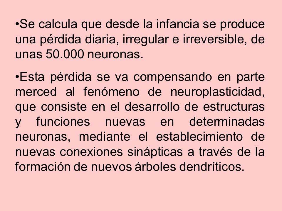 Se calcula que desde la infancia se produce una pérdida diaria, irregular e irreversible, de unas neuronas.