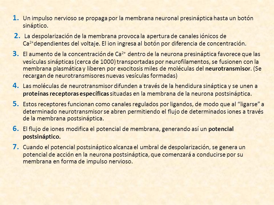 1. Un impulso nervioso se propaga por la membrana neuronal presináptica hasta un botón sináptico.
