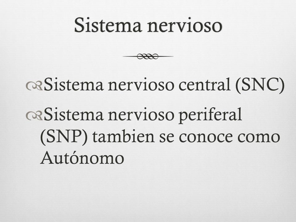 Sistema nervioso Sistema nervioso central (SNC)