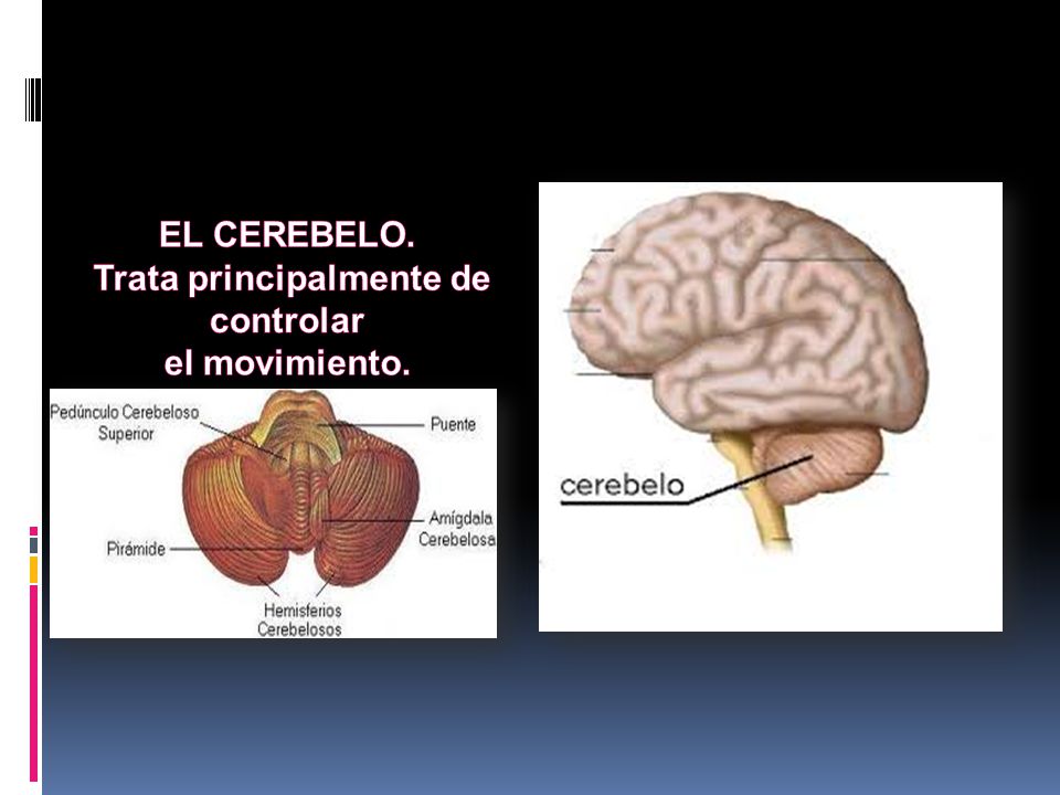 Trata principalmente de controlar