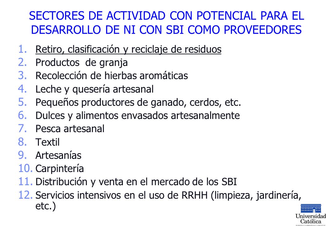 SECTORES DE ACTIVIDAD CON POTENCIAL PARA EL DESARROLLO DE NI CON SBI COMO PROVEEDORES