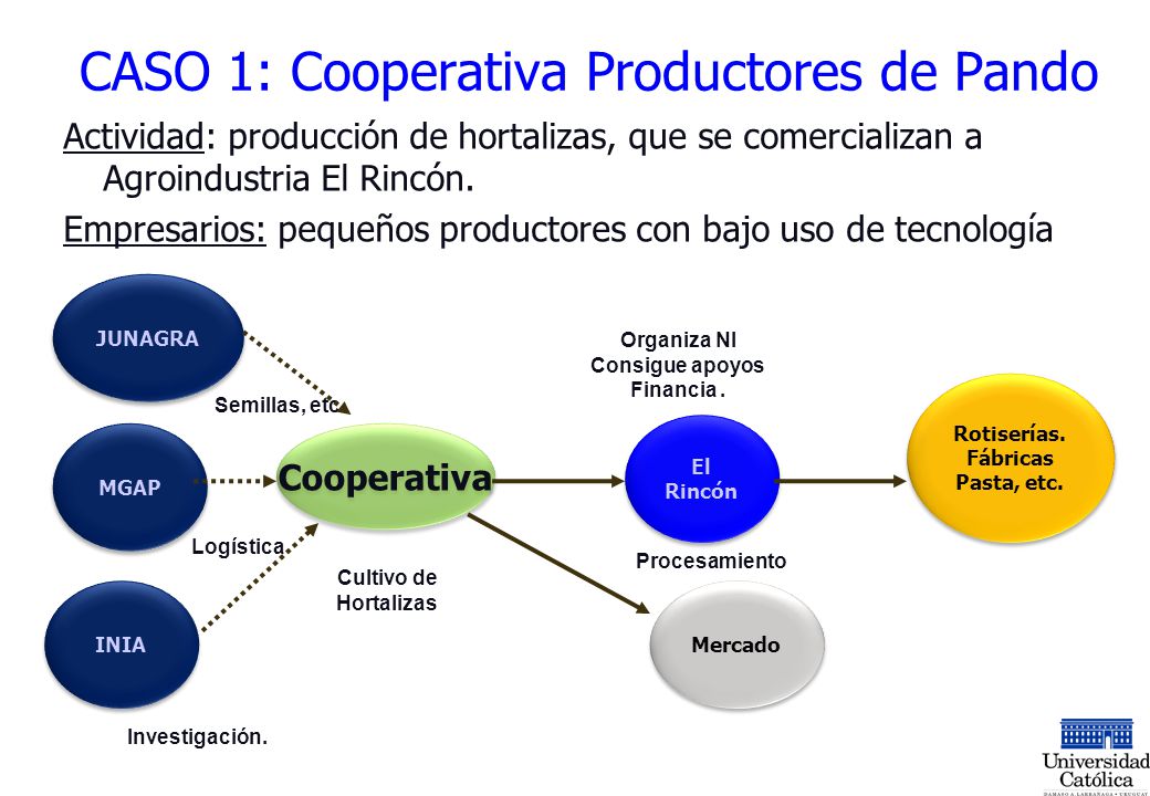 CASO 1: Cooperativa Productores de Pando