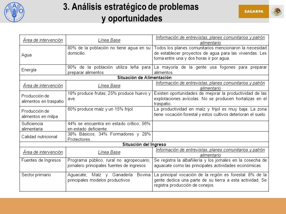 3. Análisis estratégico de problemas y oportunidades