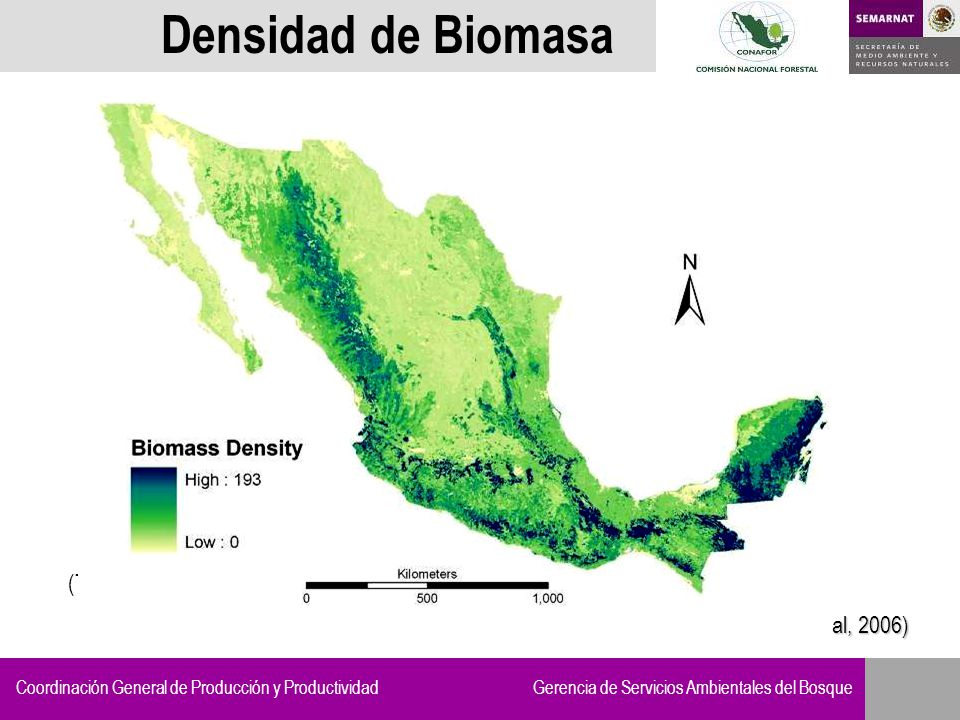 Densidad de Biomasa (Trees and shrubs) (Basado en Jong et al, 2006)