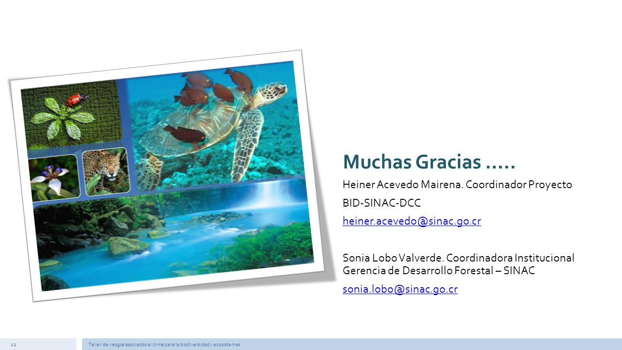 Muchas Gracias ….. Heiner Acevedo Mairena. Coordinador Proyecto