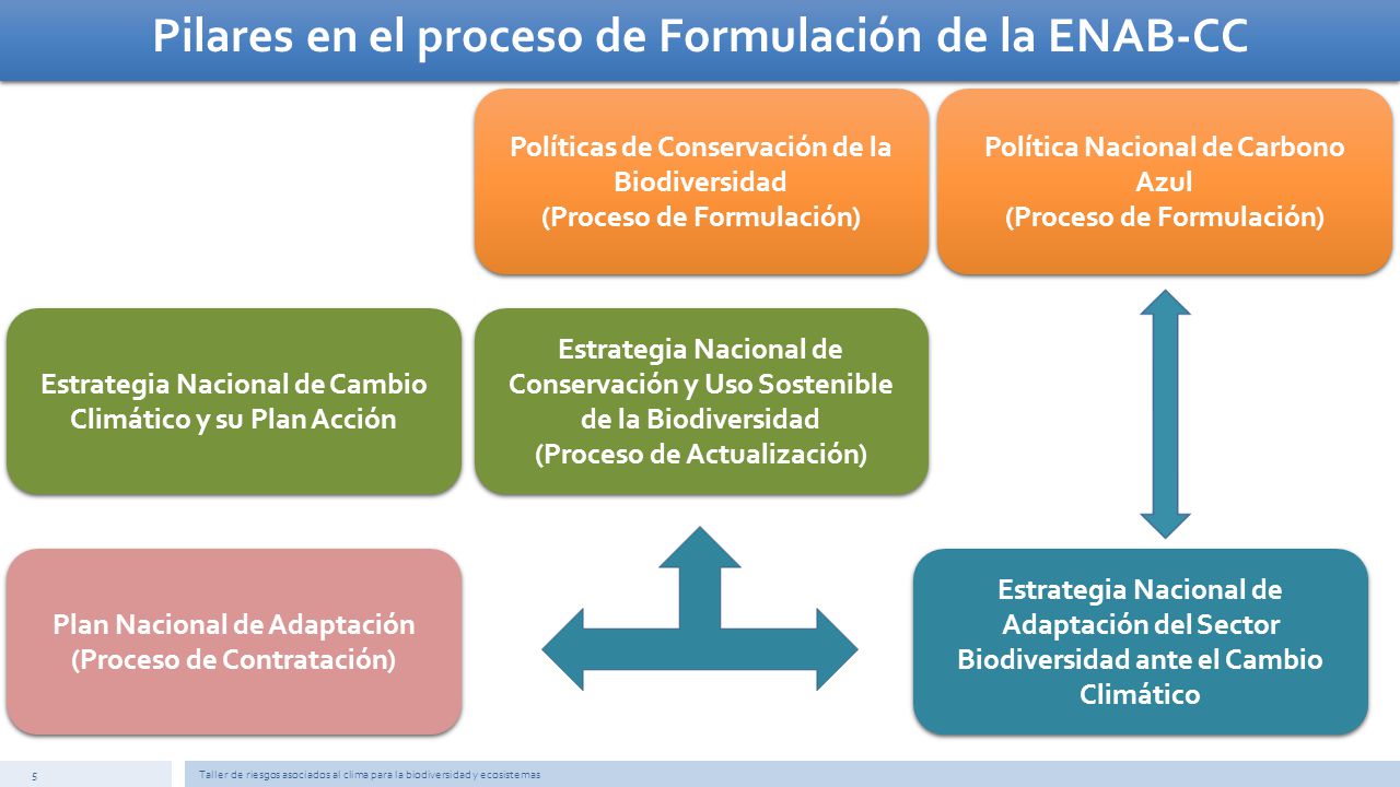 Pilares en el proceso de Formulación de la ENAB-CC