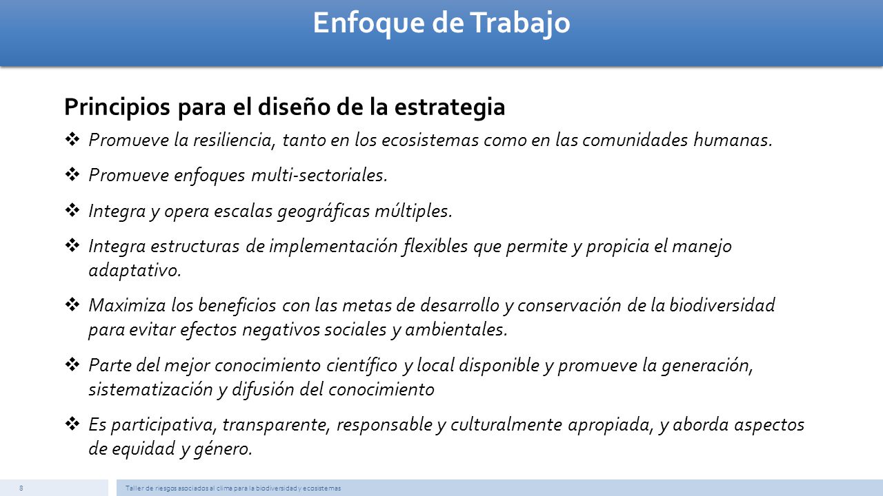 Enfoque de Trabajo Principios para el diseño de la estrategia
