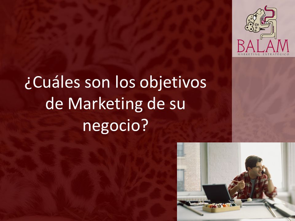 ¿Cuáles son los objetivos de Marketing de su negocio