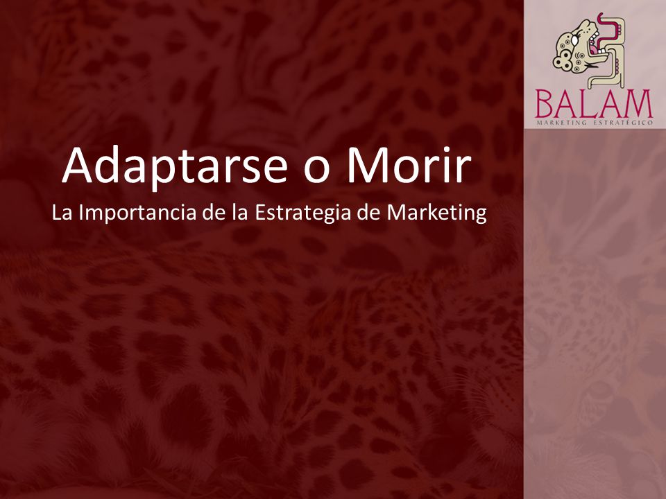 Adaptarse o Morir La Importancia de la Estrategia de Marketing