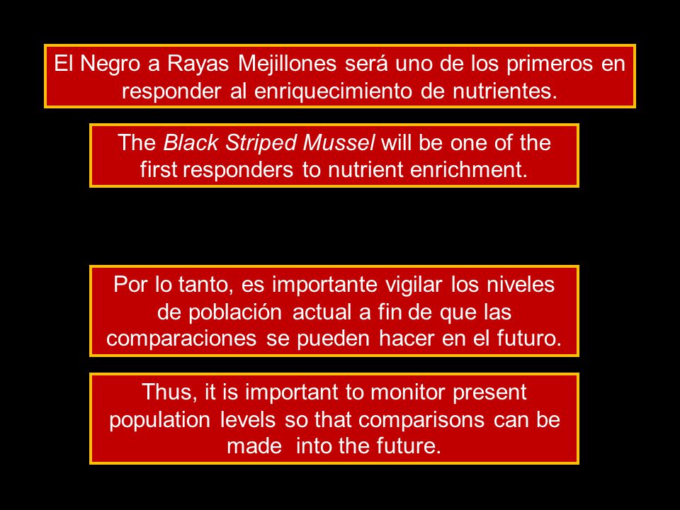 El Negro a Rayas Mejillones será uno de los primeros en responder al enriquecimiento de nutrientes.