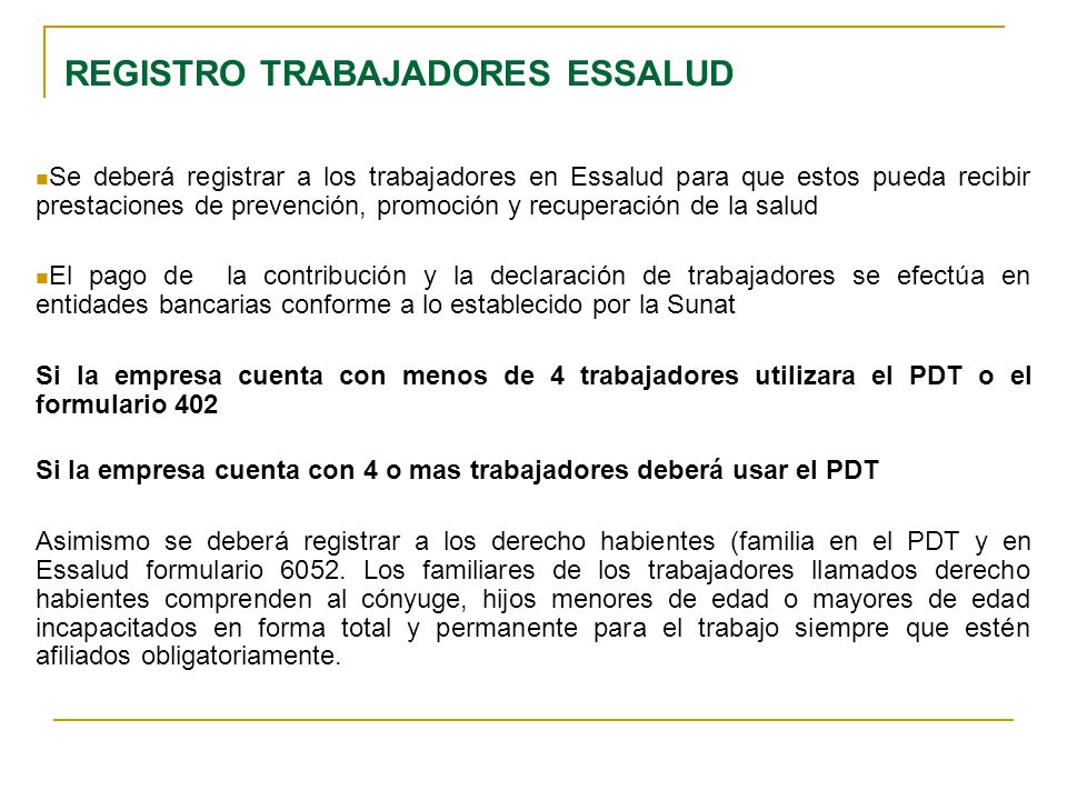 REGISTRO TRABAJADORES ESSALUD