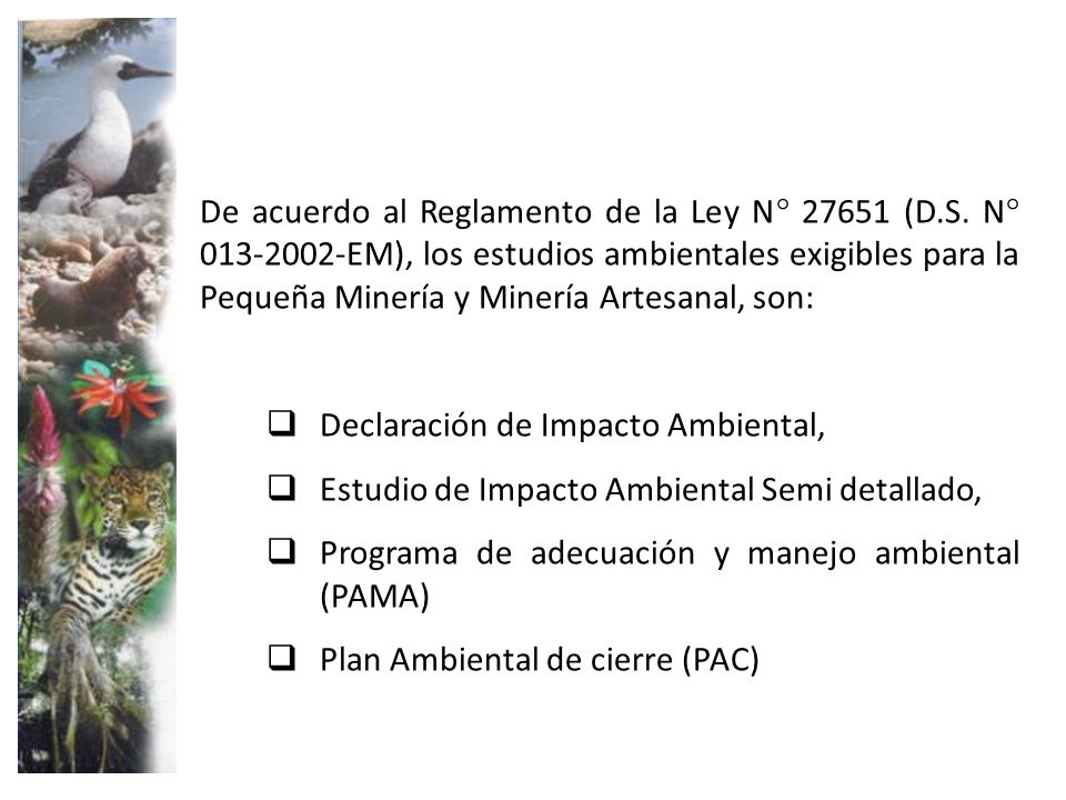 De acuerdo al Reglamento de la Ley N° (D. S