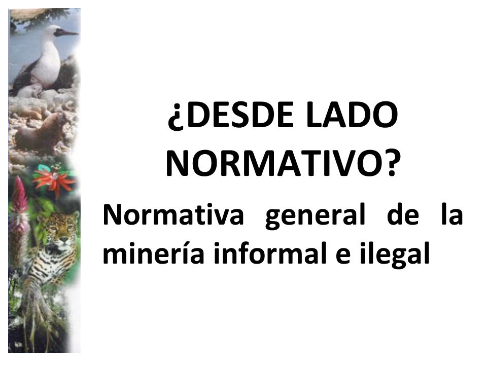 ¿DESDE LADO NORMATIVO Normativa general de la minería informal e ilegal