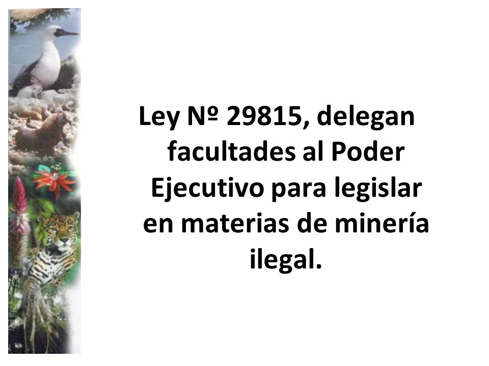 Ley Nº 29815, delegan facultades al Poder Ejecutivo para legislar en materias de minería ilegal.