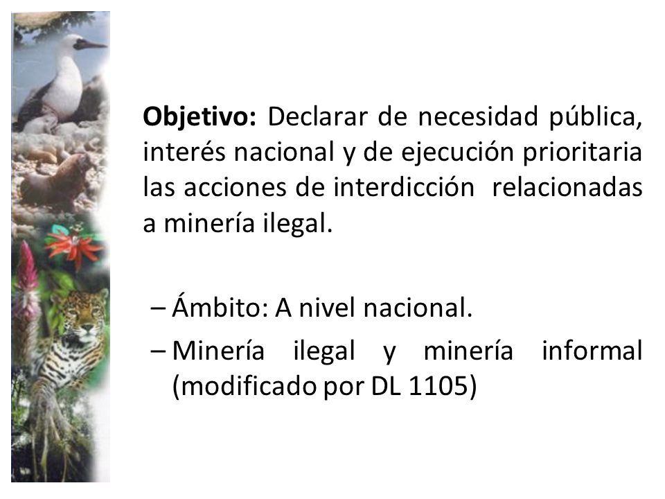Objetivo: Declarar de necesidad pública, interés nacional y de ejecución prioritaria las acciones de interdicción relacionadas a minería ilegal.