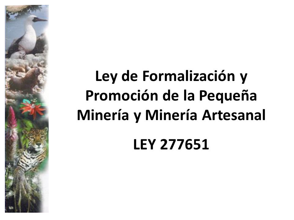 Ley de Formalización y Promoción de la Pequeña Minería y Minería Artesanal
