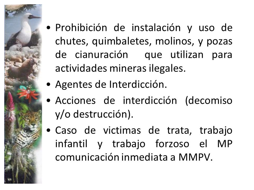 Prohibición de instalación y uso de chutes, quimbaletes, molinos, y pozas de cianuración que utilizan para actividades mineras ilegales.
