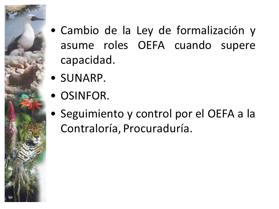 Cambio de la Ley de formalización y asume roles OEFA cuando supere capacidad.