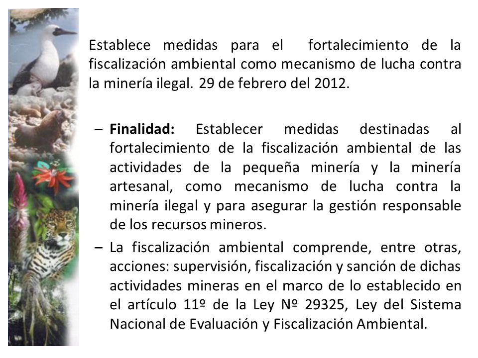 Establece medidas para el fortalecimiento de la fiscalización ambiental como mecanismo de lucha contra la minería ilegal. 29 de febrero del 2012.