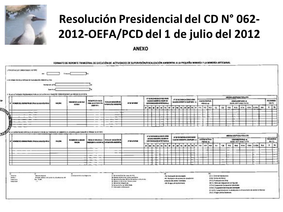 Resolución Presidencial del CD N° OEFA/PCD del 1 de julio del 2012