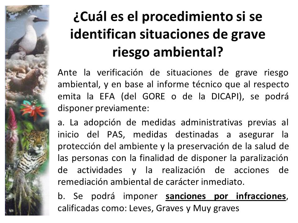 ¿Cuál es el procedimiento si se identifican situaciones de grave riesgo ambiental