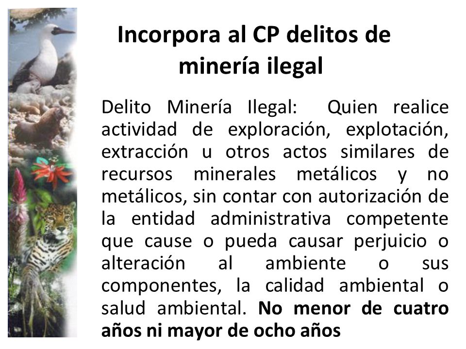 Incorpora al CP delitos de minería ilegal