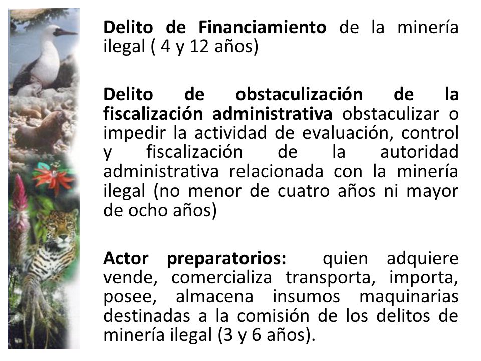 Delito de Financiamiento de la minería ilegal ( 4 y 12 años)