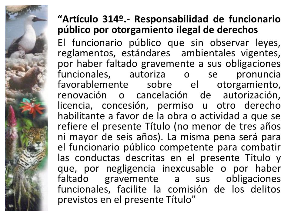 Artículo 314º.- Responsabilidad de funcionario público por otorgamiento ilegal de derechos El funcionario público que sin observar leyes, reglamentos, estándares ambientales vigentes, por haber faltado gravemente a sus obligaciones funcionales, autoriza o se pronuncia favorablemente sobre el otorgamiento, renovación o cancelación de autorización, licencia, concesión, permiso u otro derecho habilitante a favor de la obra o actividad a que se refiere el presente Título (no menor de tres años ni mayor de seis años).