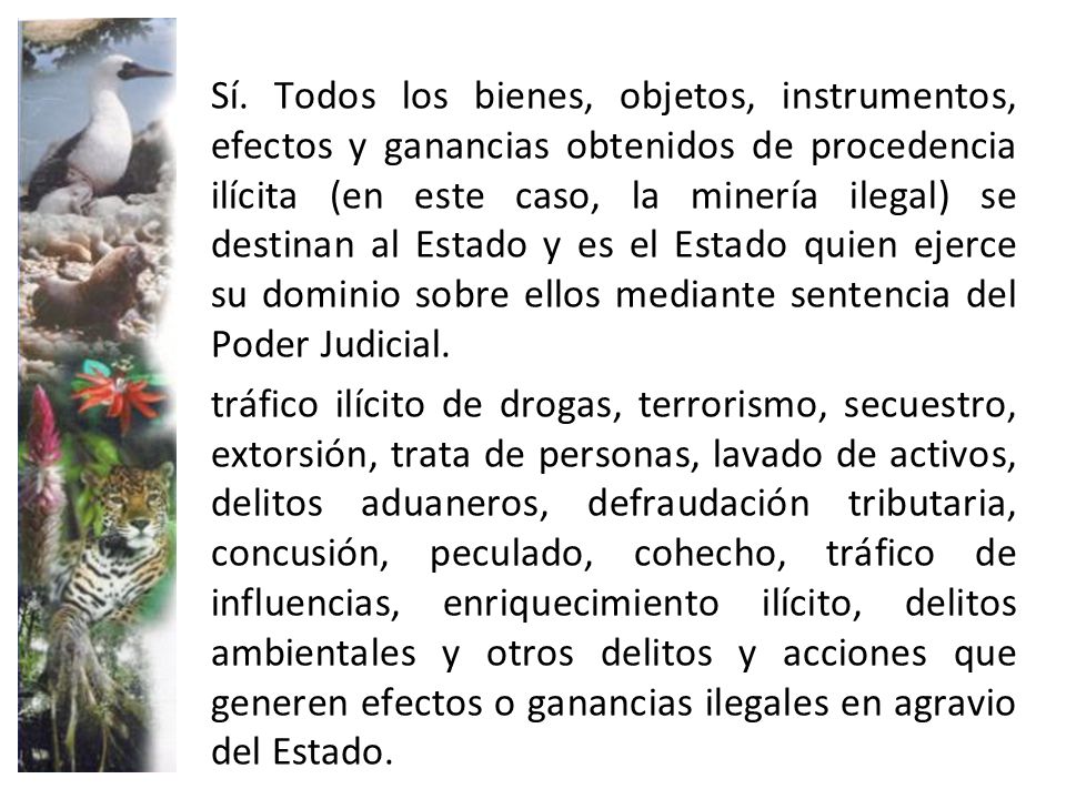 Sí. Todos los bienes, objetos, instrumentos, efectos y ganancias obtenidos de procedencia ilícita (en este caso, la minería ilegal) se destinan al Estado y es el Estado quien ejerce su dominio sobre ellos mediante sentencia del Poder Judicial.