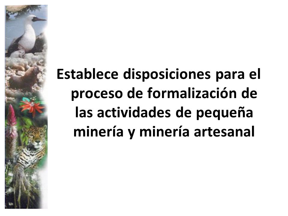Establece disposiciones para el proceso de formalización de las actividades de pequeña minería y minería artesanal