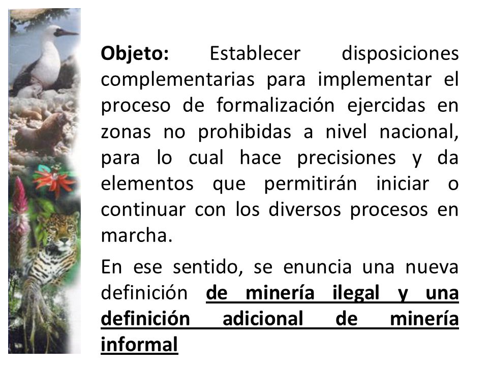 Objeto: Establecer disposiciones complementarias para implementar el proceso de formalización ejercidas en zonas no prohibidas a nivel nacional, para lo cual hace precisiones y da elementos que permitirán iniciar o continuar con los diversos procesos en marcha.