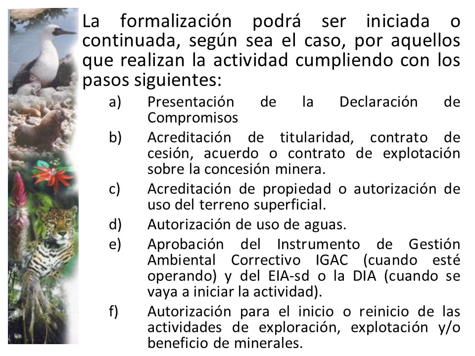 La formalización podrá ser iniciada o continuada, según sea el caso, por aquellos que realizan la actividad cumpliendo con los pasos siguientes: