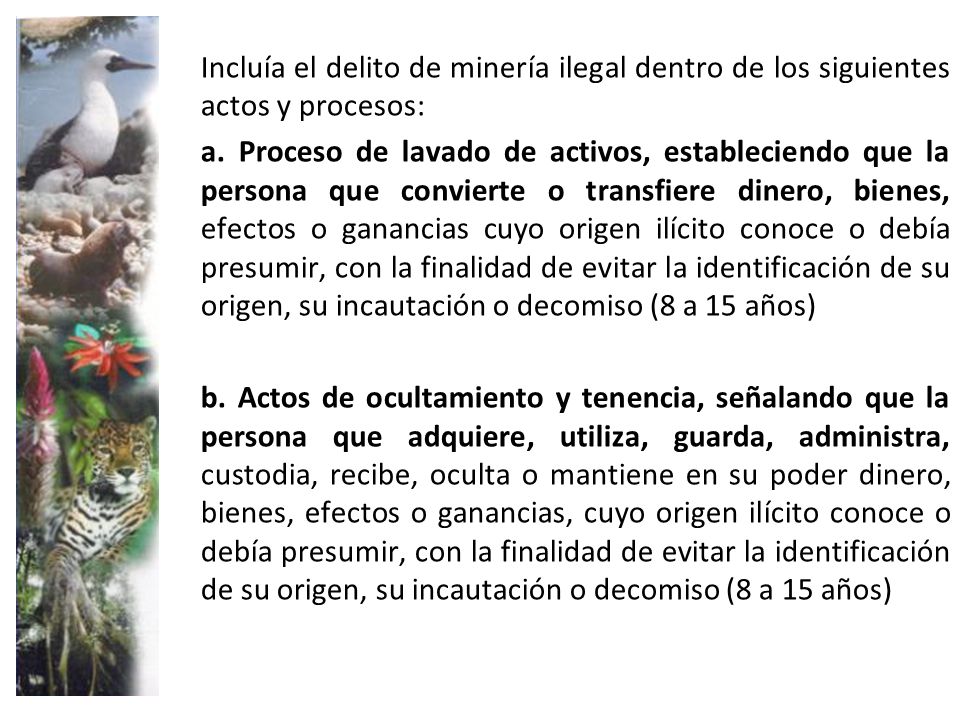 Incluía el delito de minería ilegal dentro de los siguientes actos y procesos: