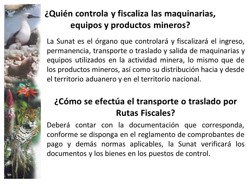 ¿Cómo se efectúa el transporte o traslado por Rutas Fiscales