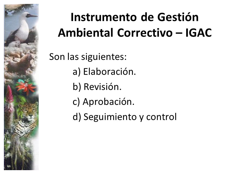 Instrumento de Gestión Ambiental Correctivo – IGAC