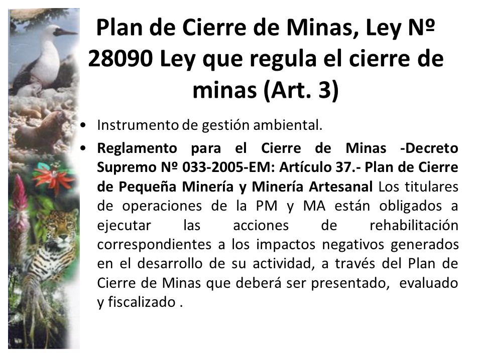 Plan de Cierre de Minas, Ley Nº Ley que regula el cierre de minas (Art. 3)