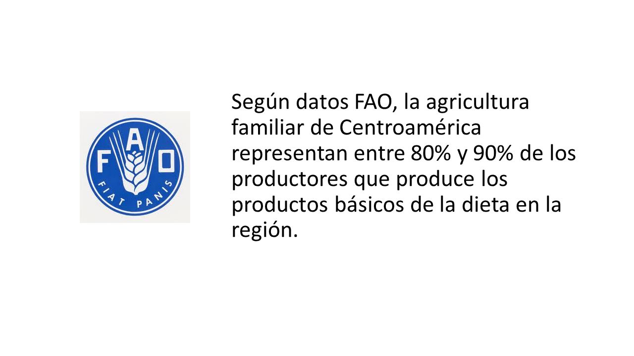 Según datos FAO, la agricultura familiar de Centroamérica representan entre 80% y 90% de los productores que produce los productos básicos de la dieta en la región.