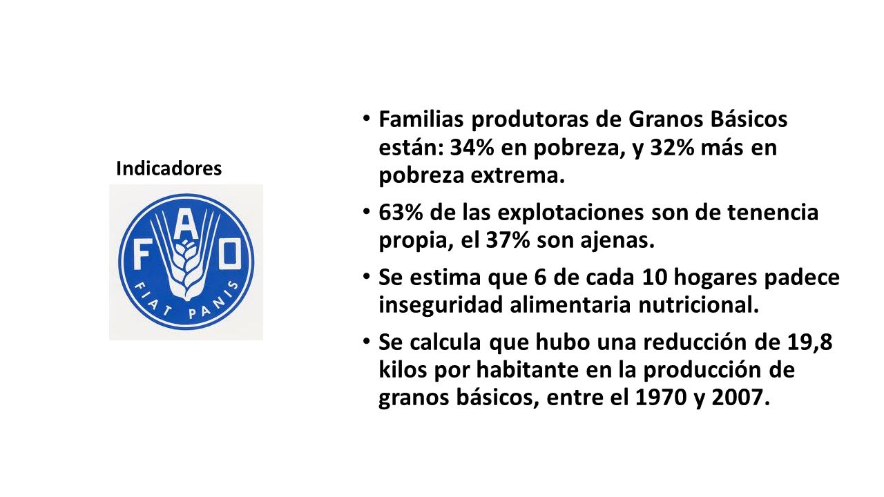 63% de las explotaciones son de tenencia propia, el 37% son ajenas.