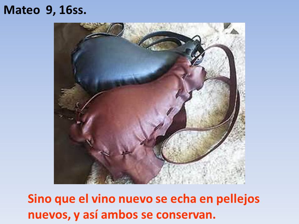 Mateo 9, 16ss. Sino que el vino nuevo se echa en pellejos nuevos, y así ambos se conservan.