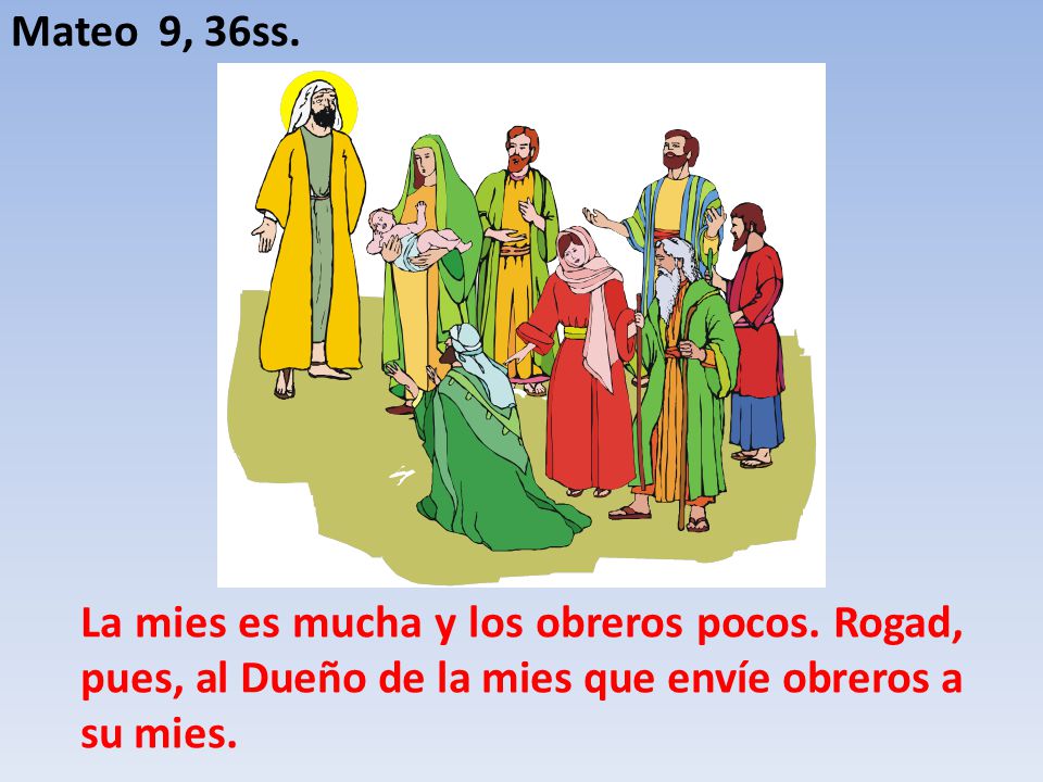 Mateo 9, 36ss. La mies es mucha y los obreros pocos.