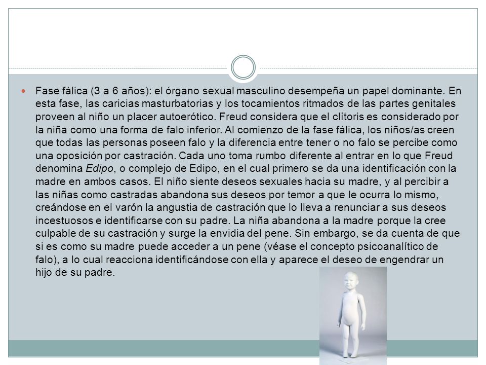 Fase fálica (3 a 6 años): el órgano sexual masculino desempeña un papel dominante.