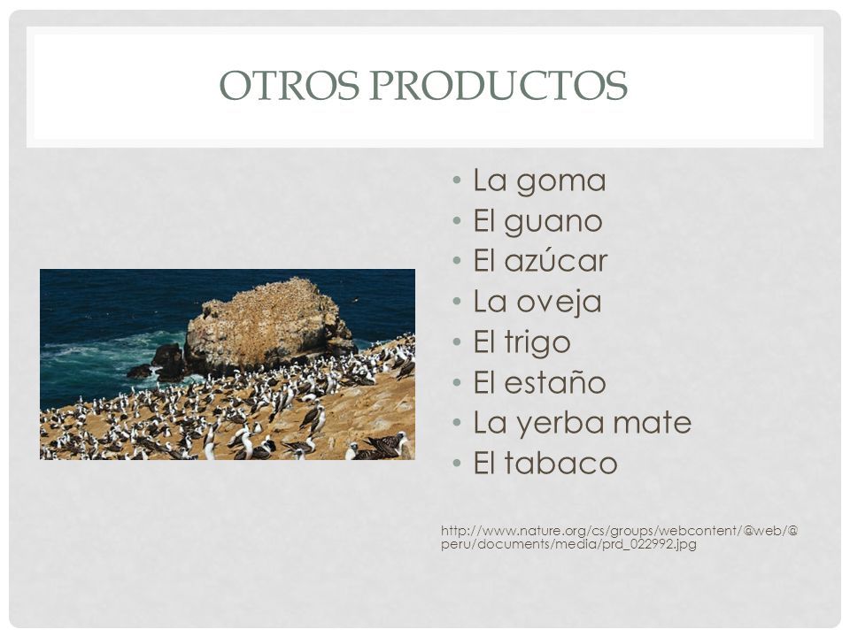 Otros productos La goma El guano El azúcar La oveja El trigo El estaño
